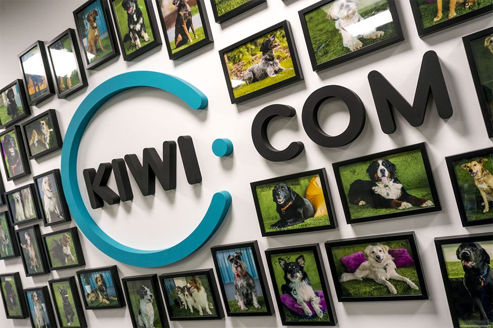 Kiwi.com office wall with the company logo surrounded by framed photos of dogs, marking Kiwi.com’s €200k strategic investment in Zuri in 2019.